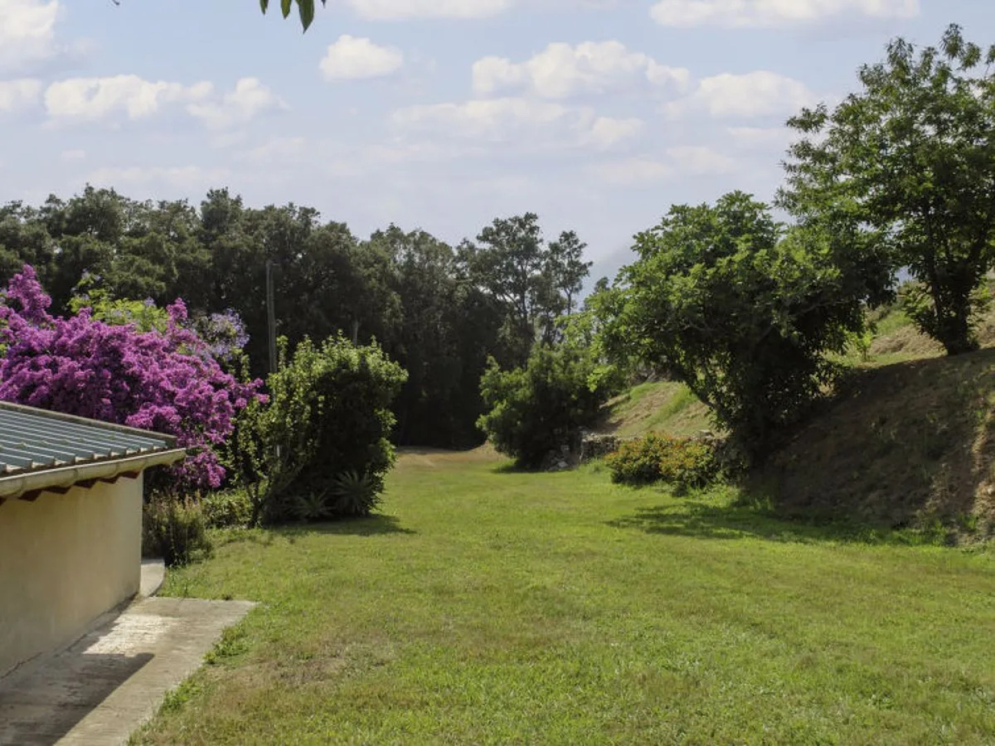 Rutili - Josee (CTN255)