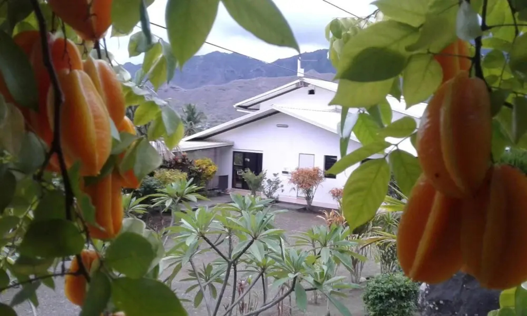 Tata Pension Mave Mai