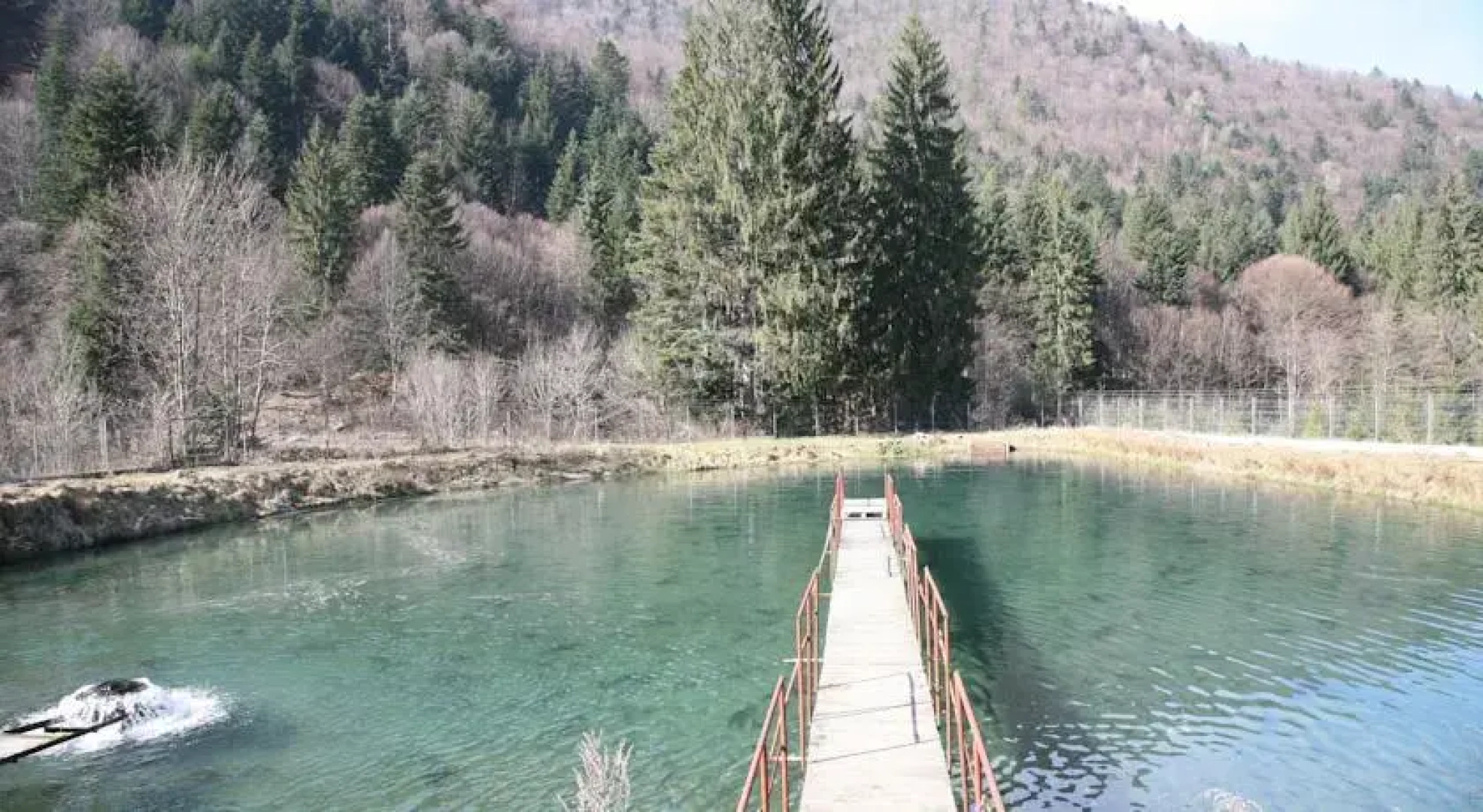 Pension Floarea Reginei