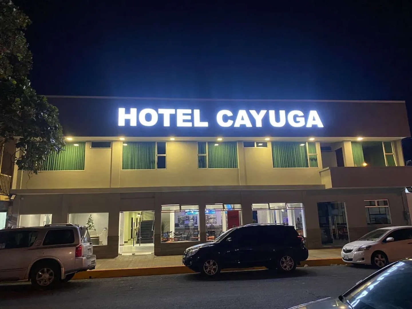 Hotel Cayuga