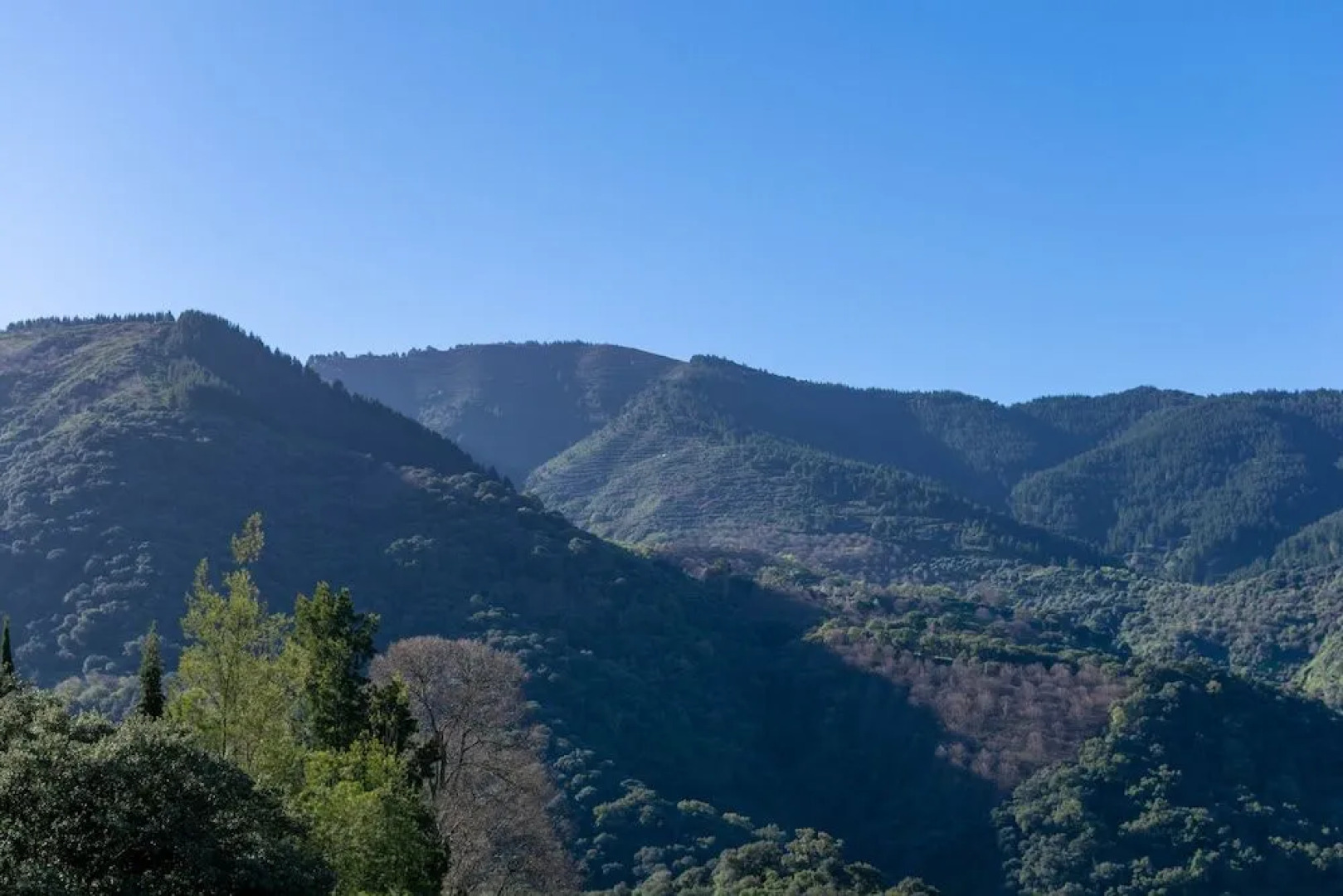 Secret Garden Retreats