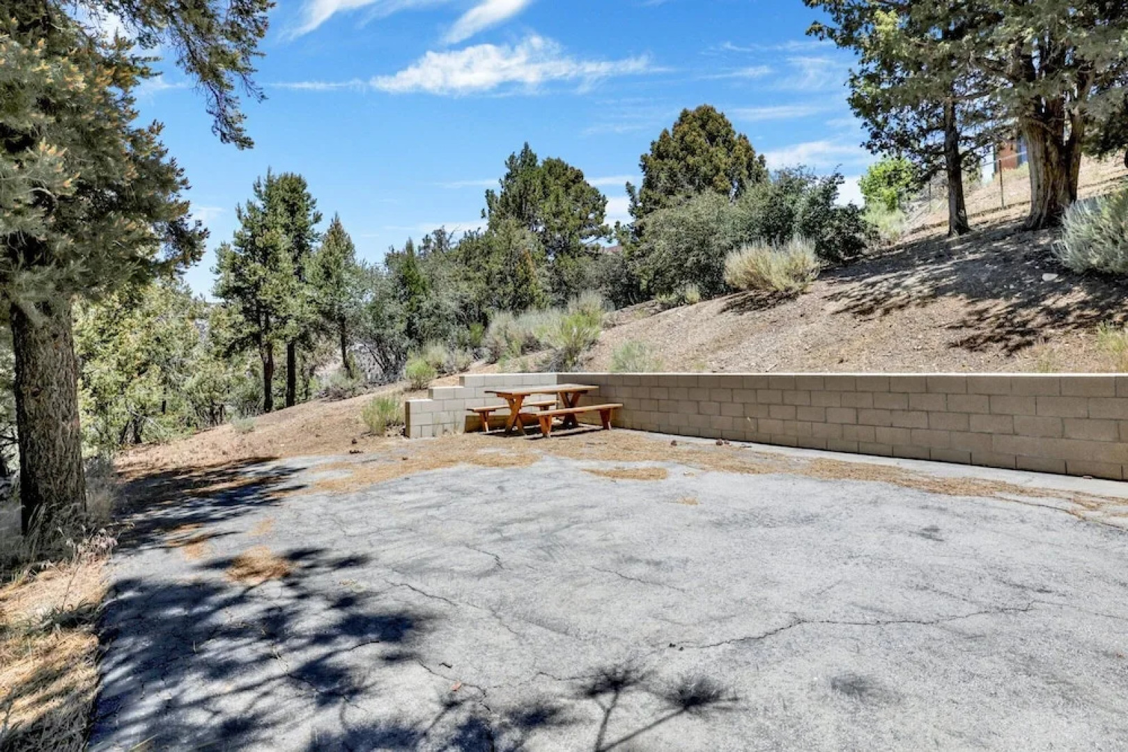 Chateau DE BIG Bear #2328