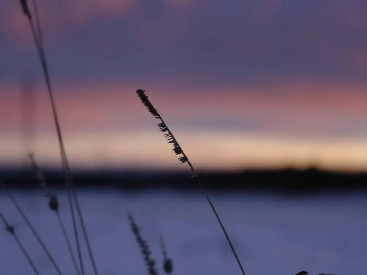 Hill View Holiday Home in Dankerode near Lake & Hiking