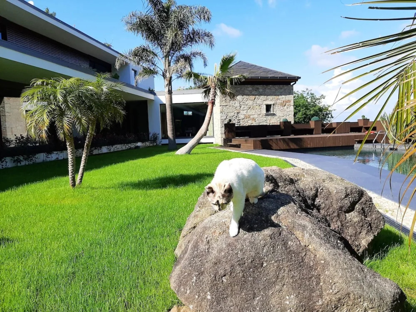 Villa with 4 Bedrooms in Louredo, with Wonderful Mountain View, Private Pool, Enclosed Garden - 20 Km From the Beach