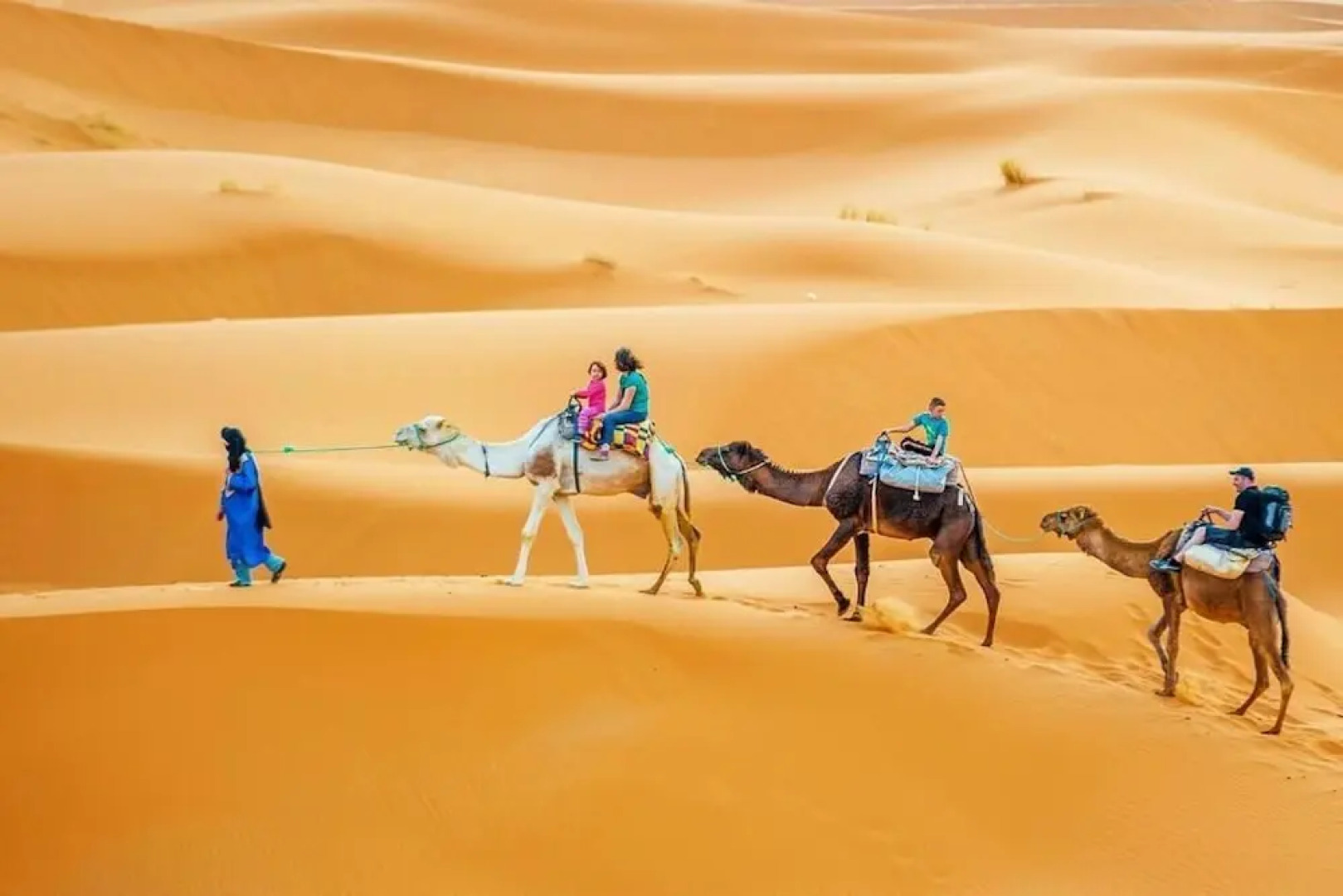 Best Morocco Tours