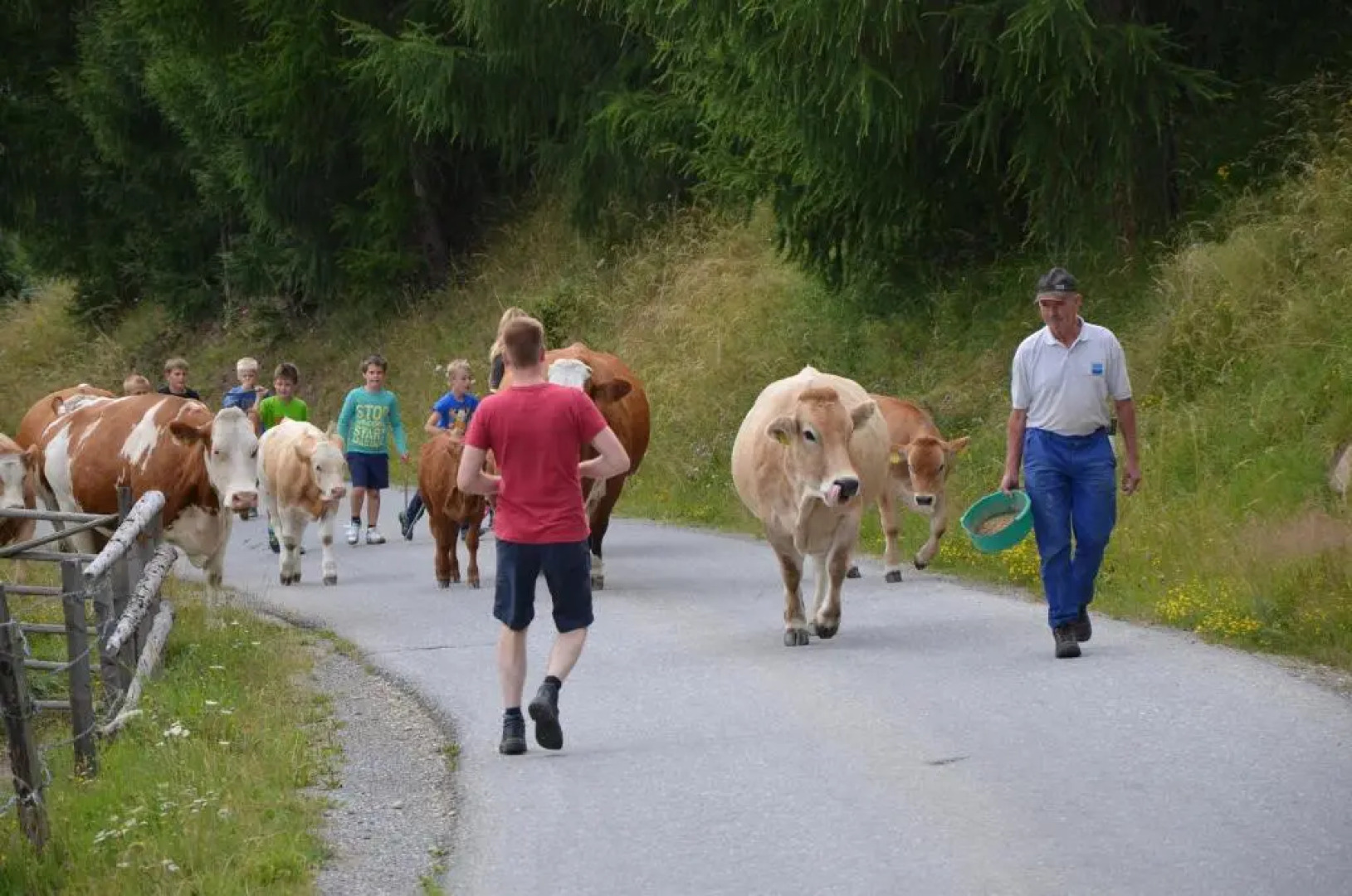 Ferienwohnung Familie Sigl - Rotlechner