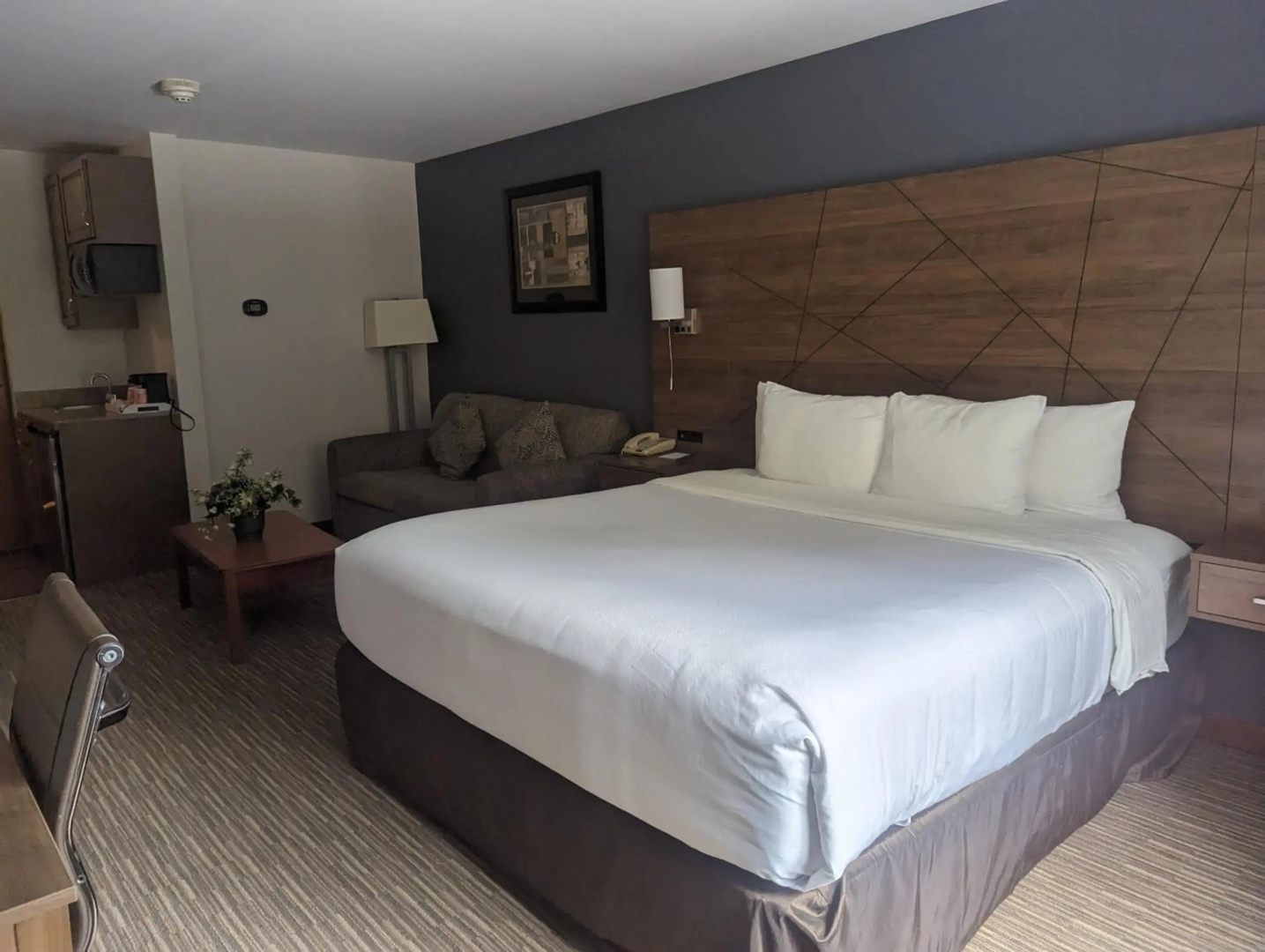 Quality Inn & Suites Northampton - Amherst