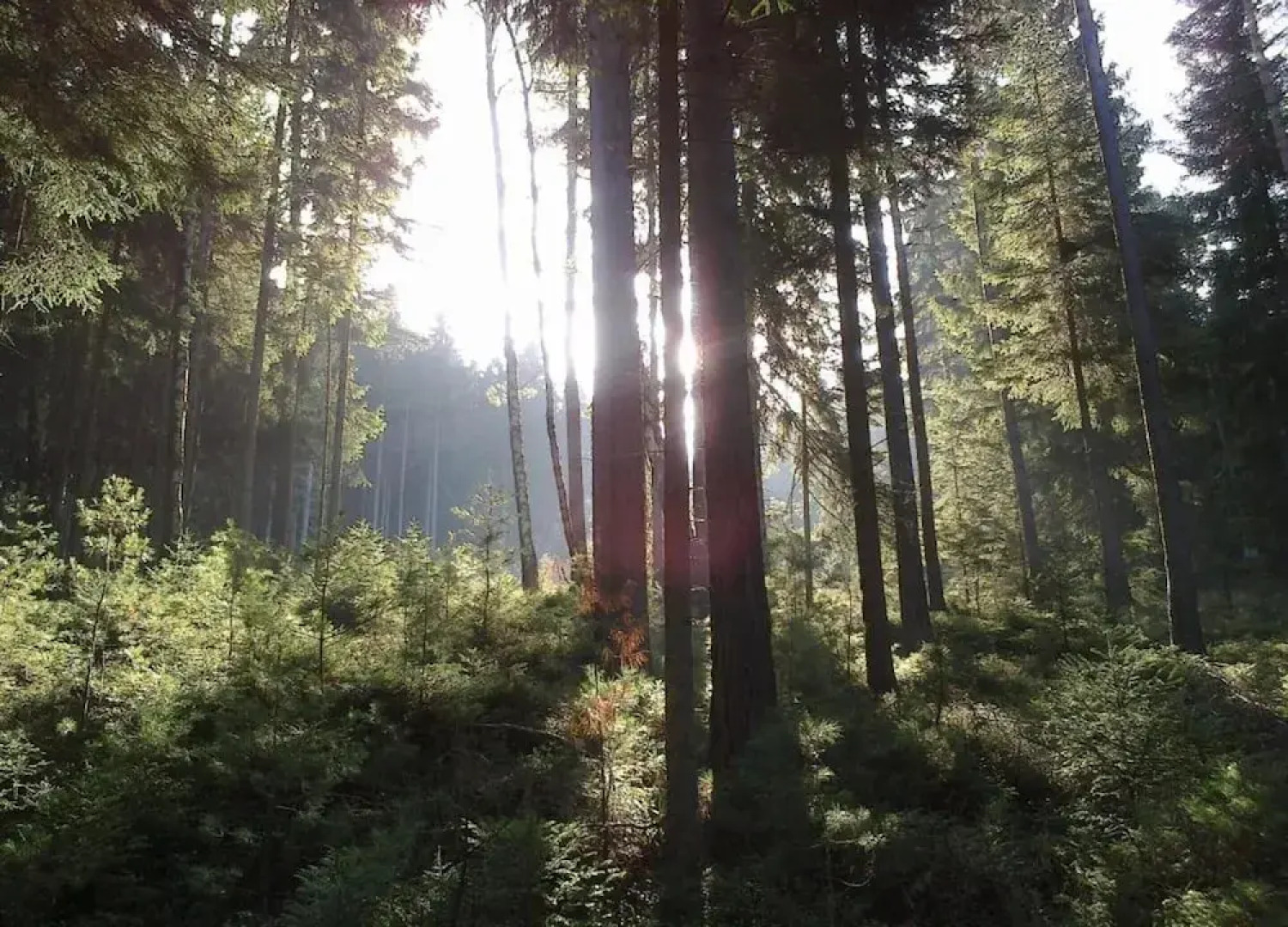 Stylish Apartment in Sohl With Terrace