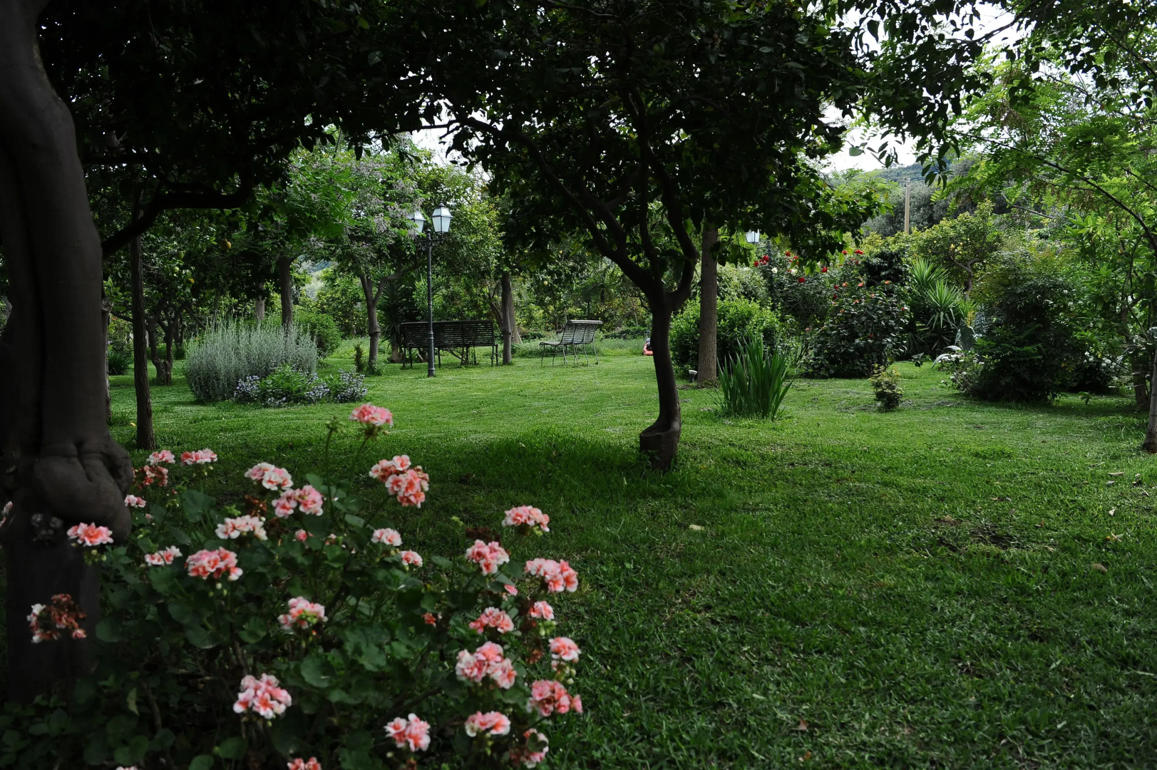 Tenuta Santa Tecla