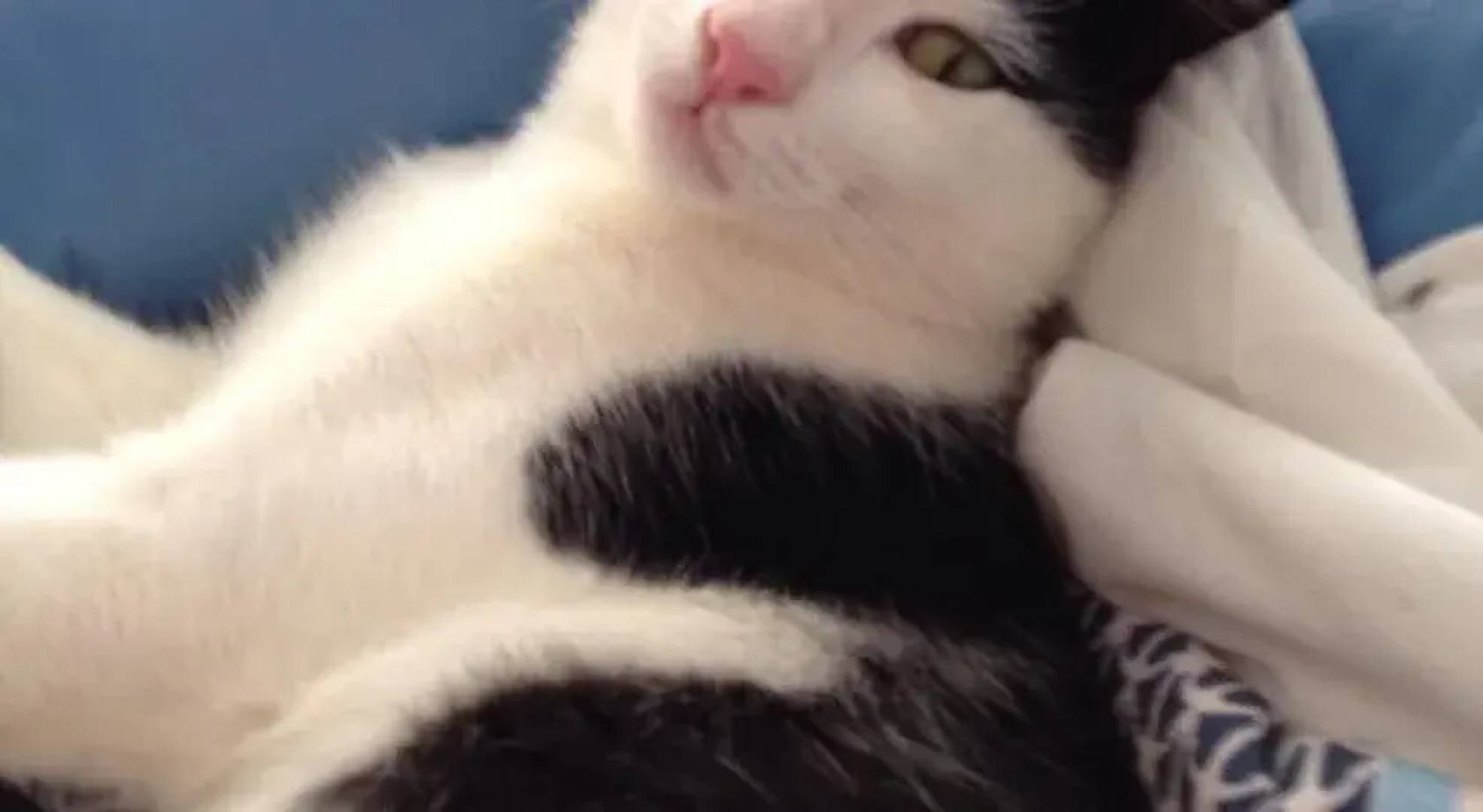 Pousada Santa Felicidade