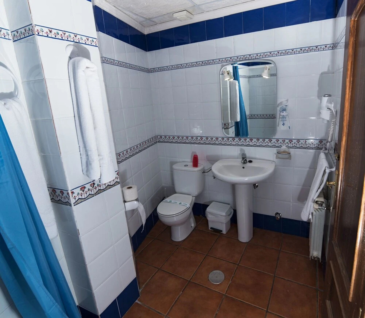 Apartamentos Raisa