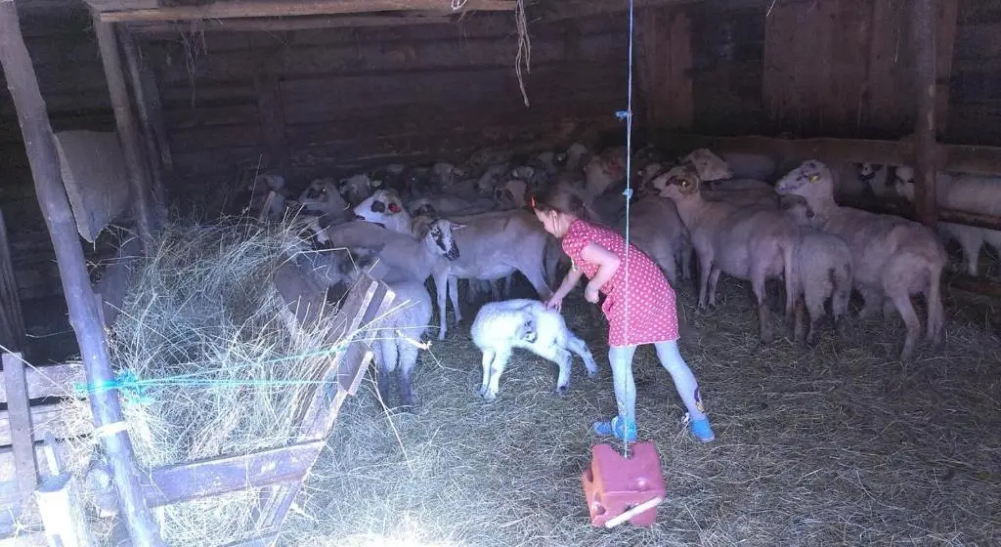 Csendes Bükk 2 Kulcsosház