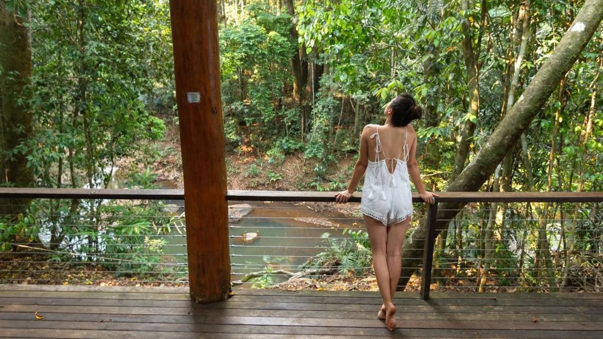 The Canopy Rainforest Treehouses and Wildlife Sanctuary