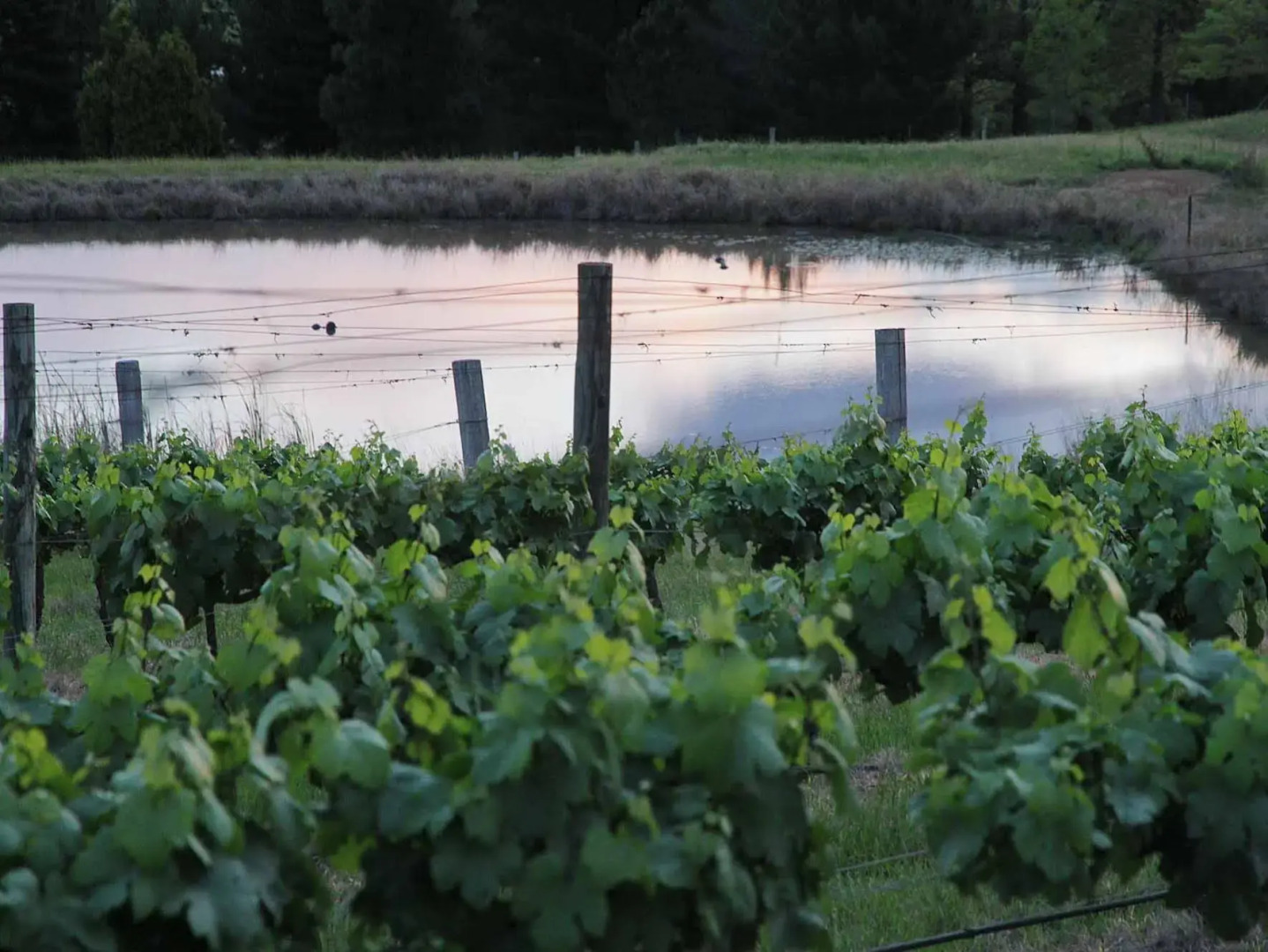 Sovereign Hill Country Lodge Rothbury