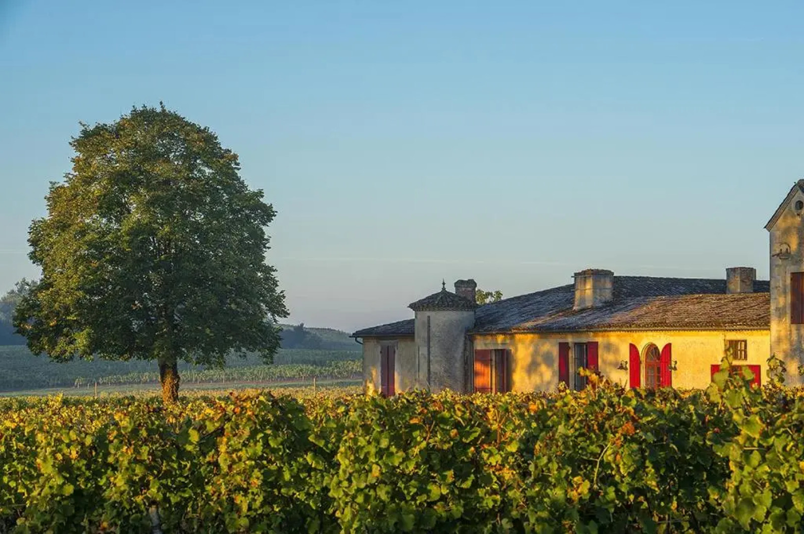 Château Sigalas Rabaud