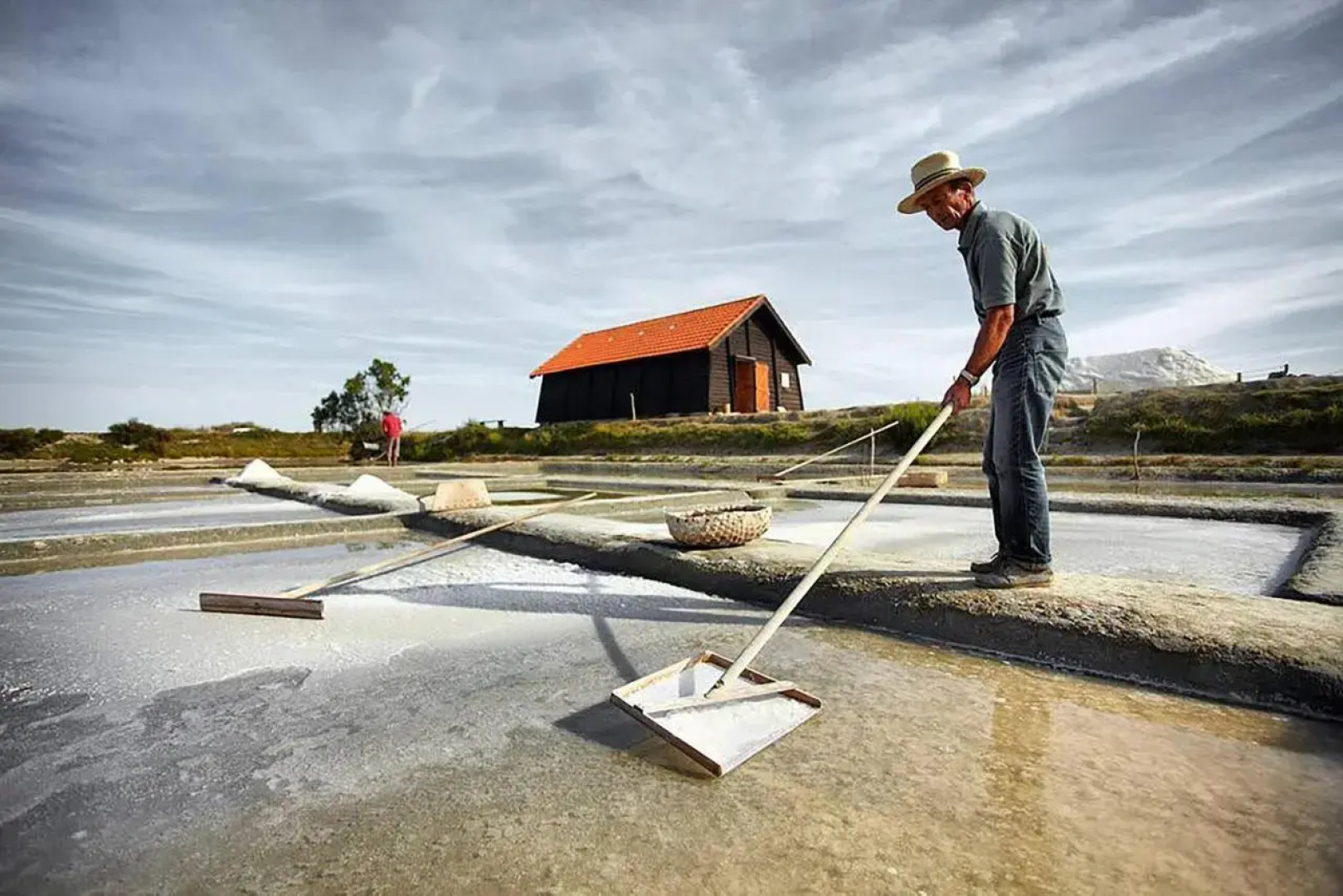 Vous êtes 6 ou 7, ne cherchez plus pour cet été !