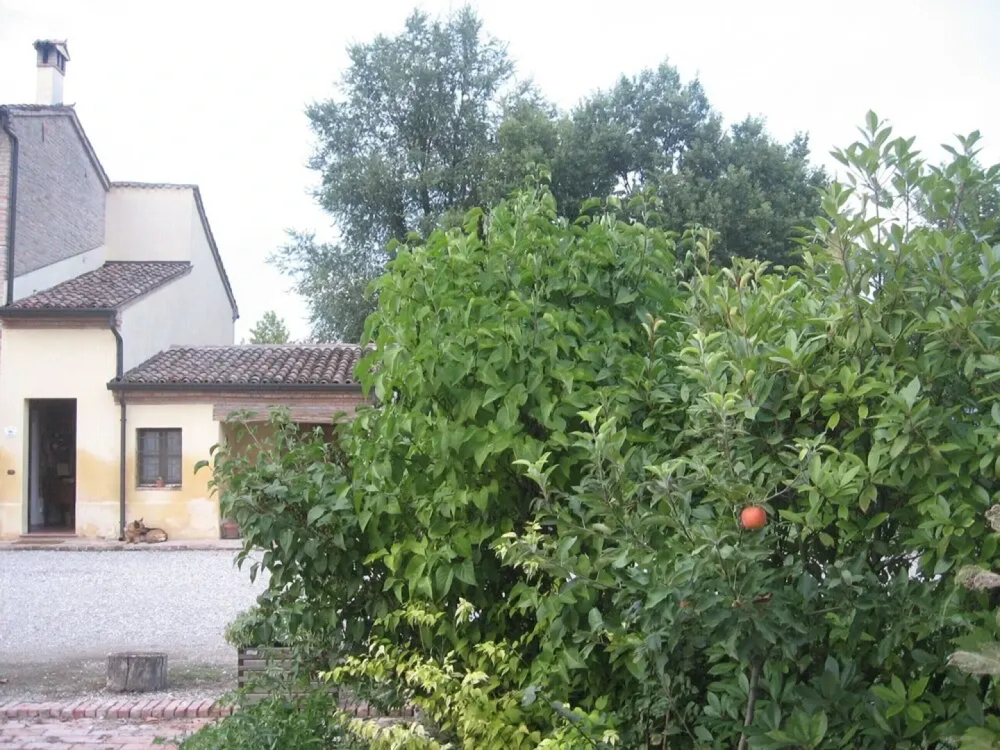 Agriturismo La Rovere