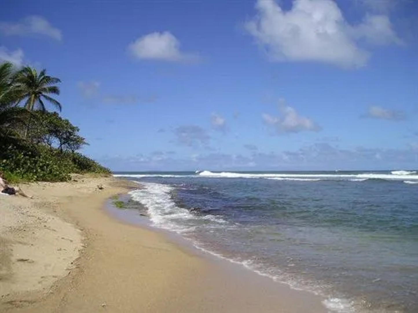 Dominica's Sea View Apartment