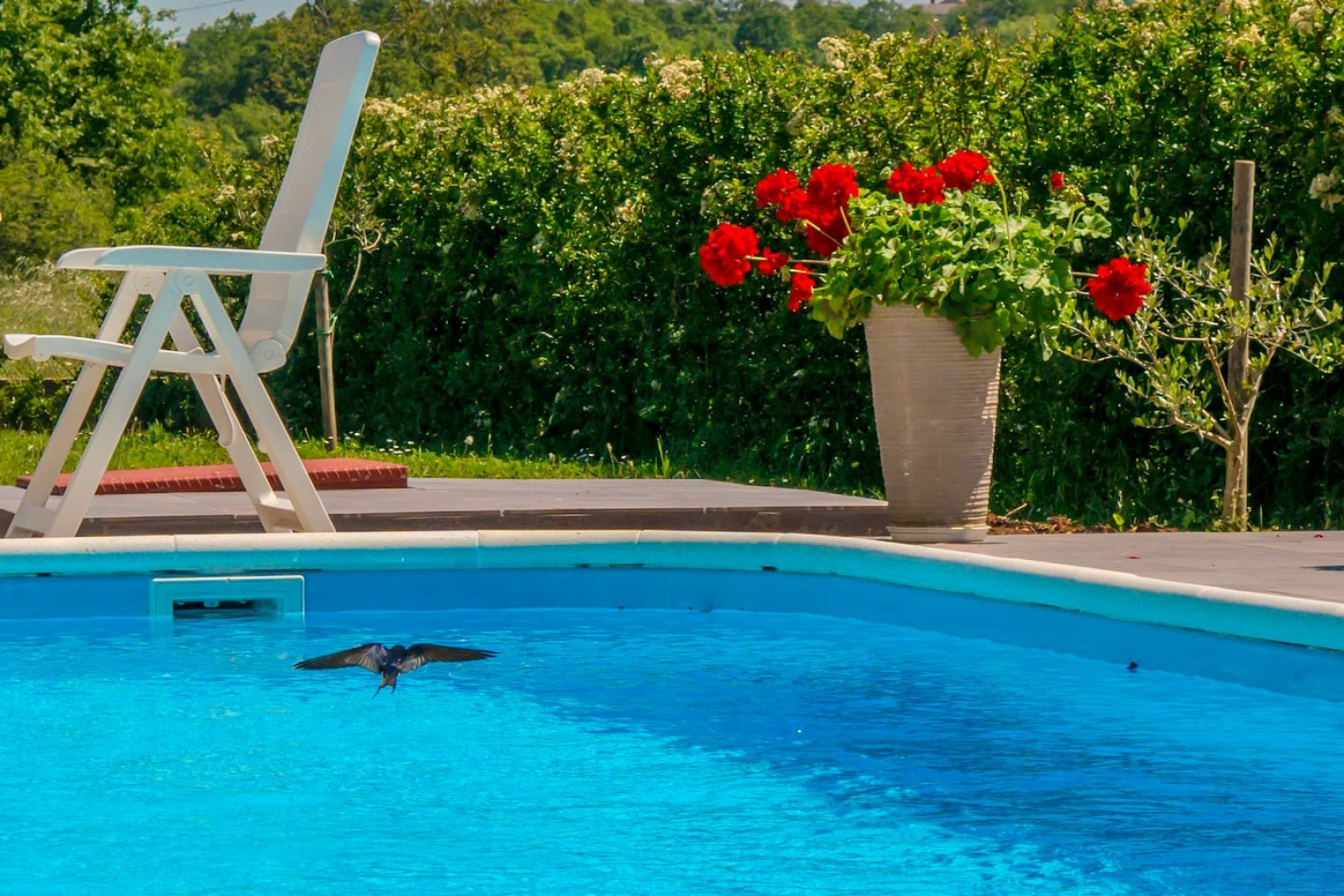 Apartment Marinko - with pool : A Kuca Barban, Istria