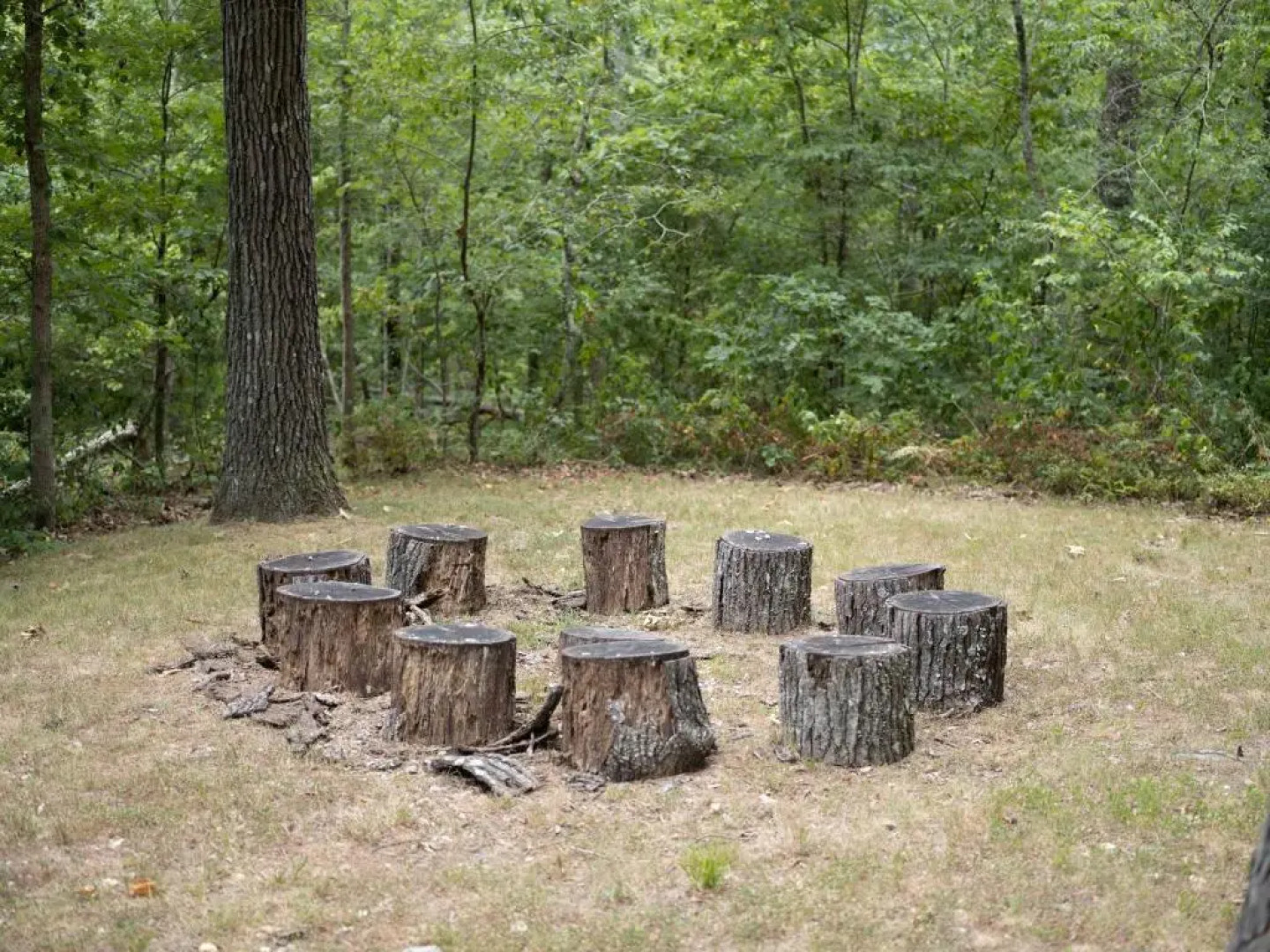 Big Blue Trail - Near Tunnel Vision