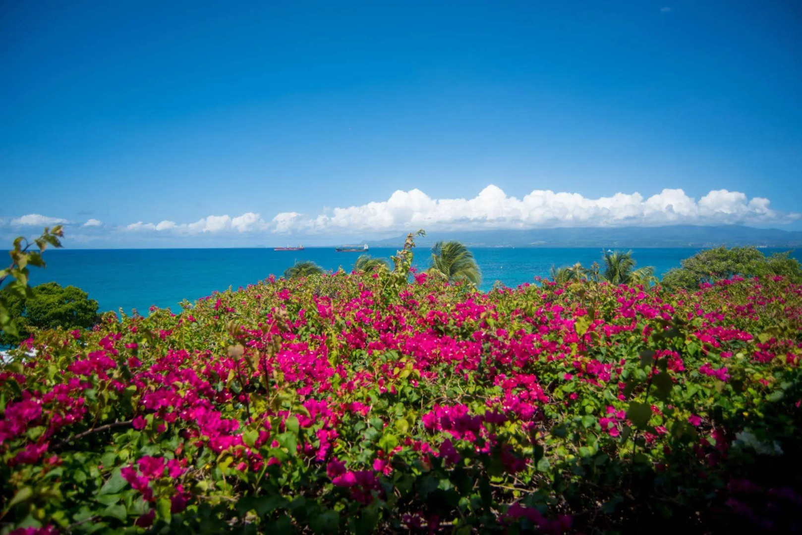 Auberge de la Vieille Tour