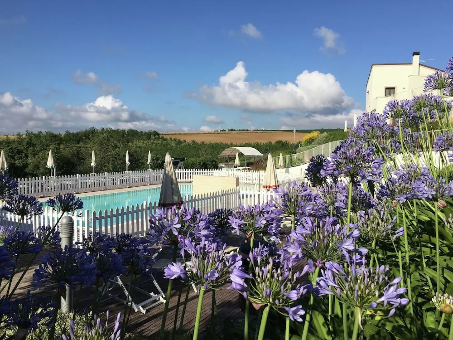 Modern Holiday Home in Pedaso with Pool