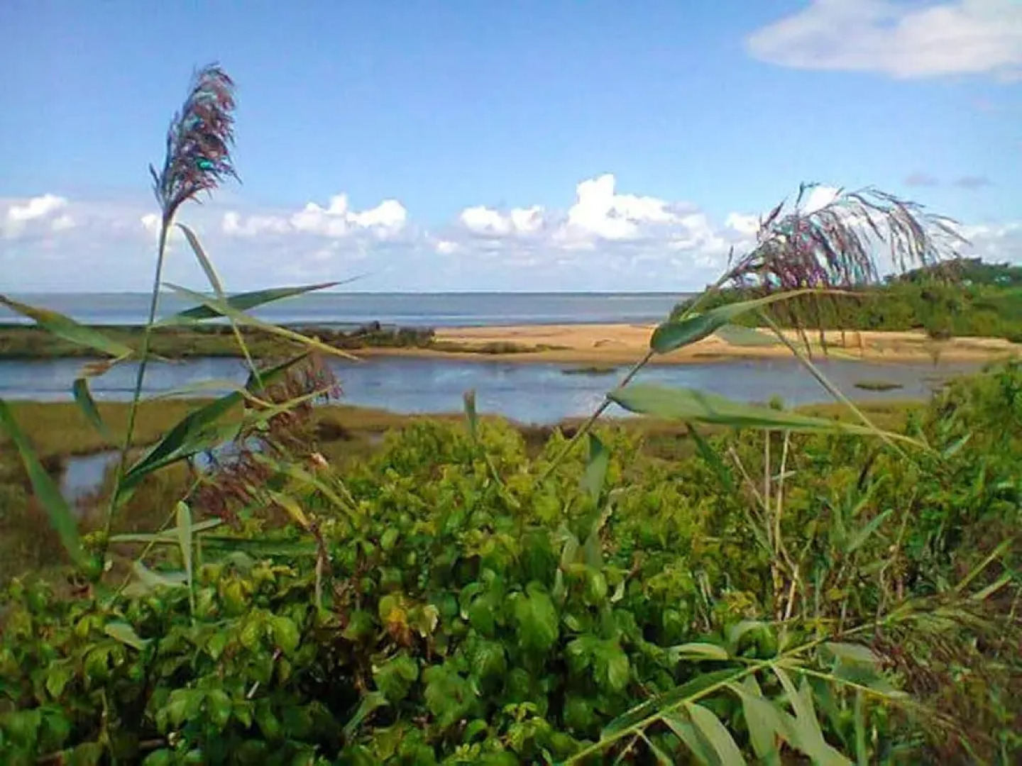 House With 2 Bedrooms in Gujan-mestras, With Wonderful Lake View, Encl