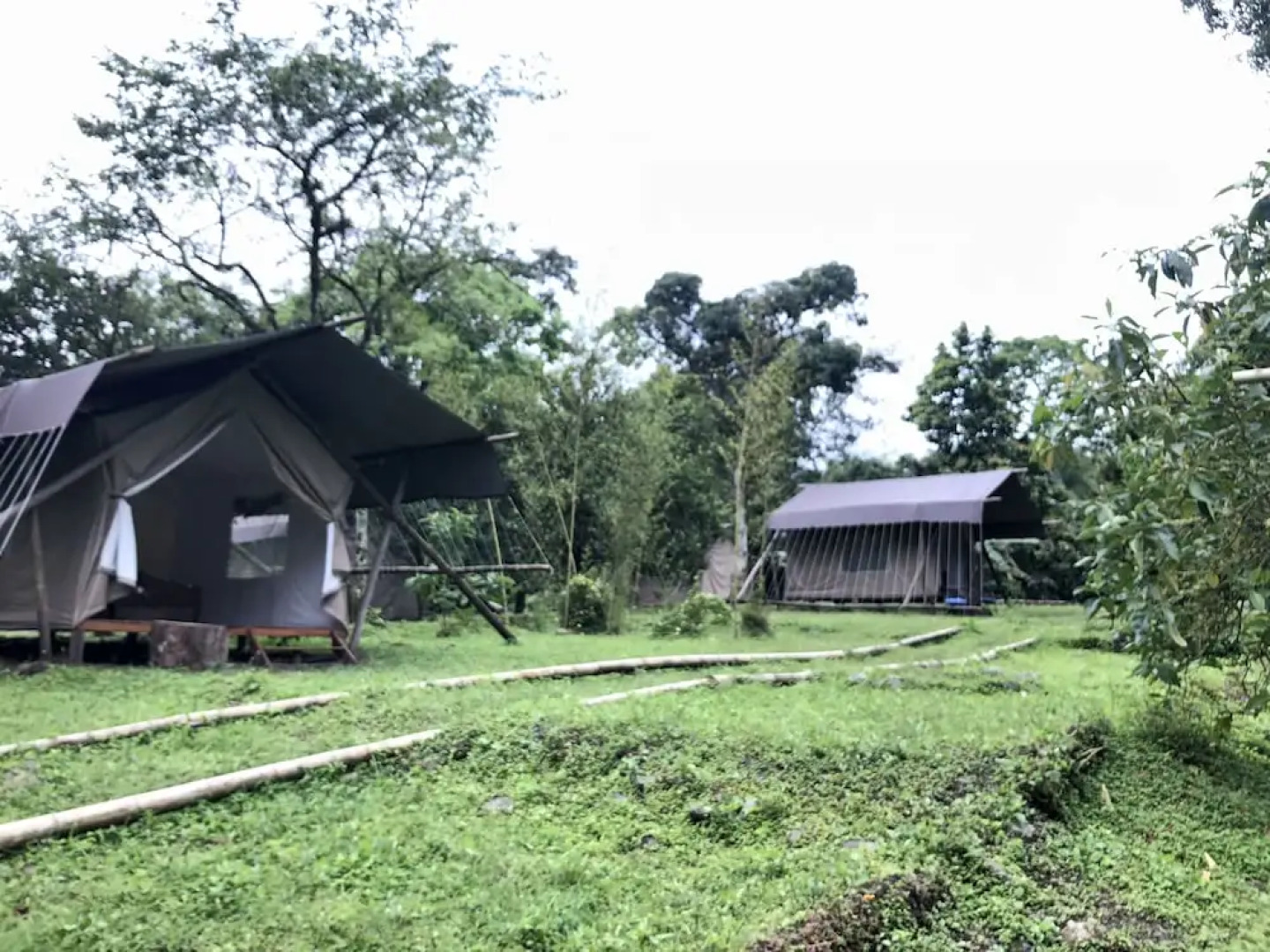 SelvaViva Hotel Boutique - Glamping