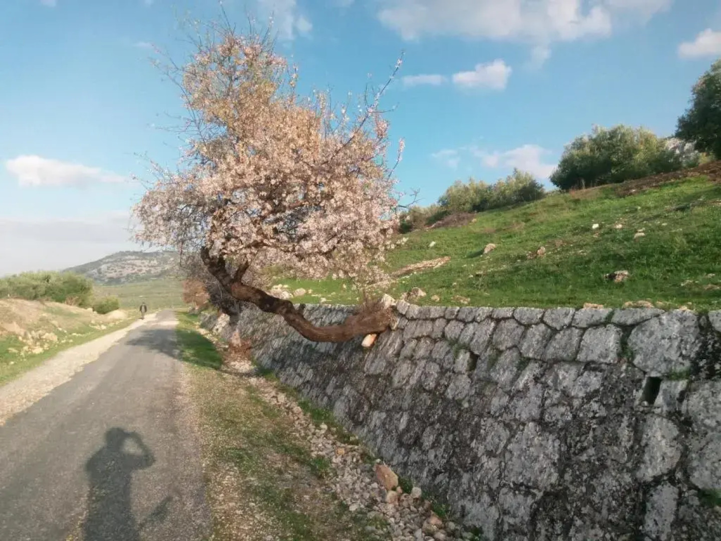 El Hechizo Del Bailón