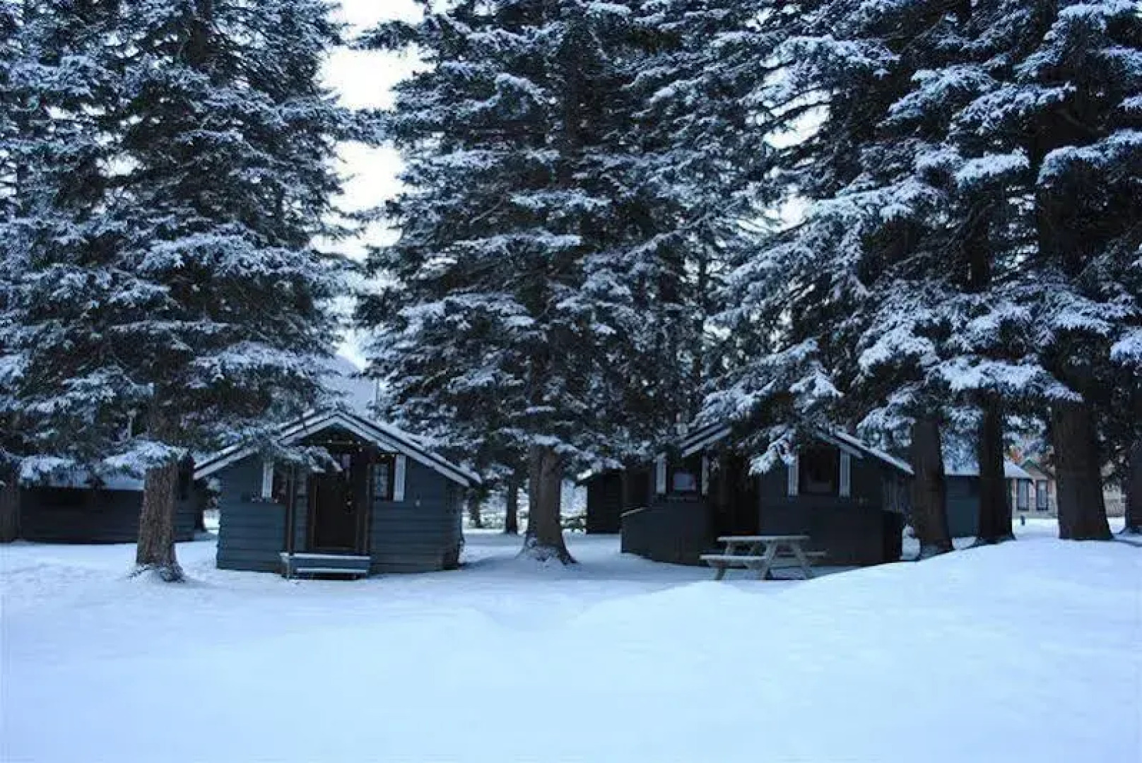 Rundle Chalets