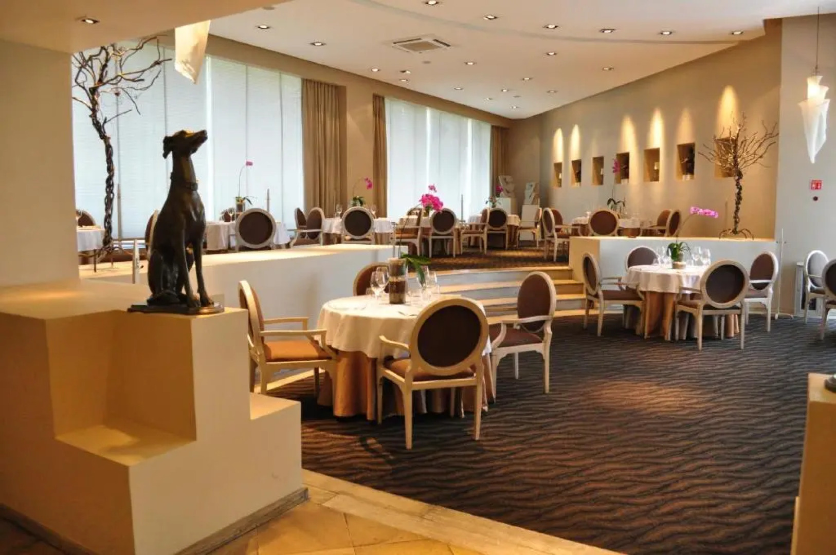 Royal Pedregal Hotel