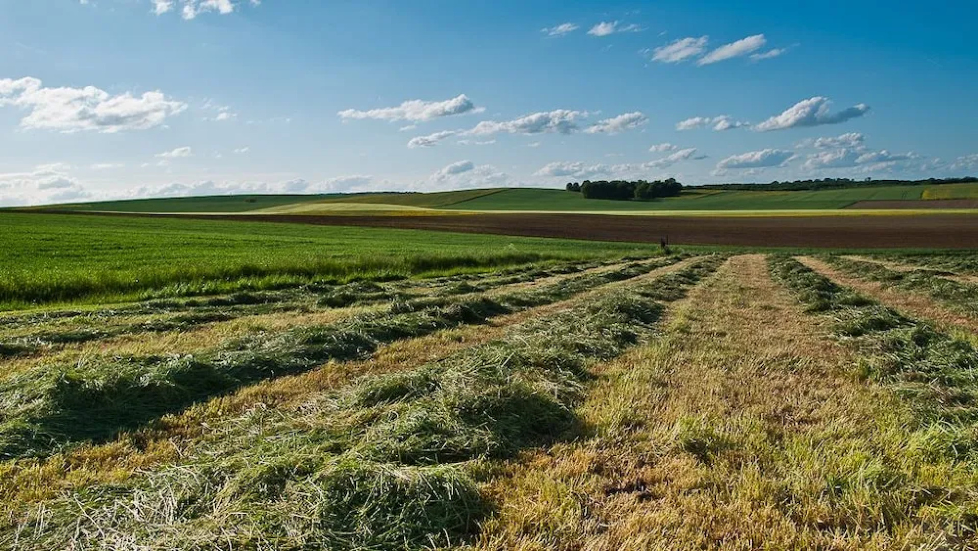 Chambre d'hôte la Flopré