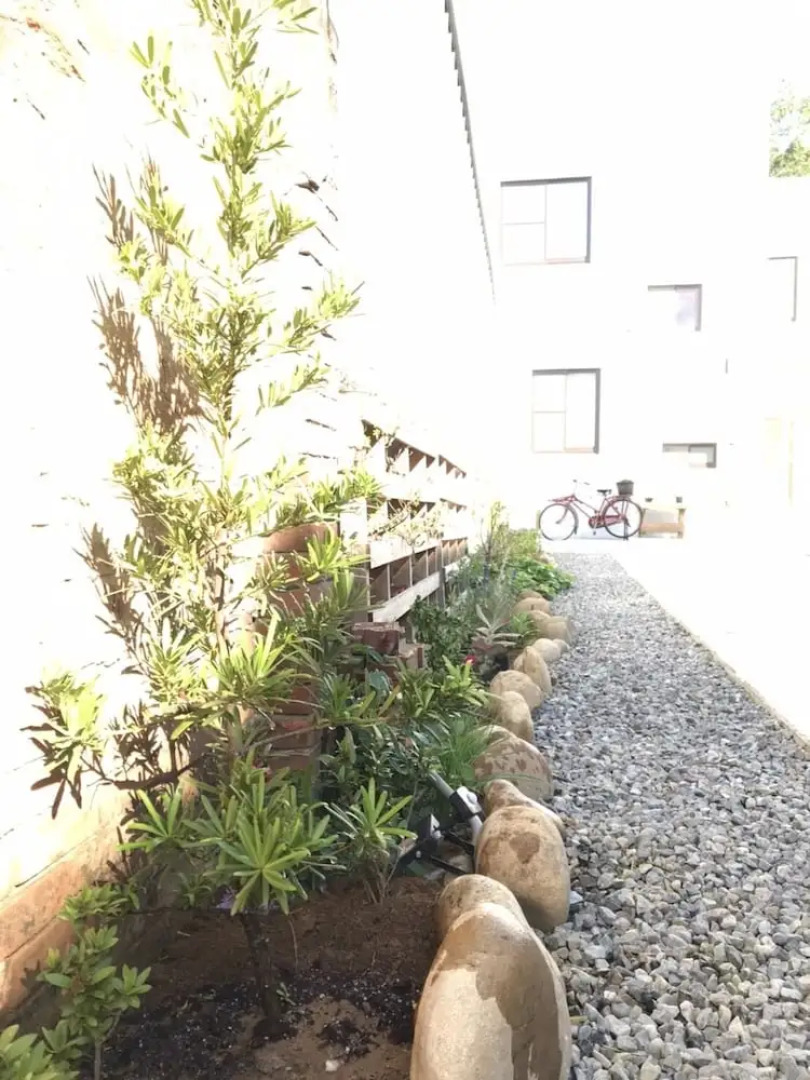 Tree House Café & Homestay