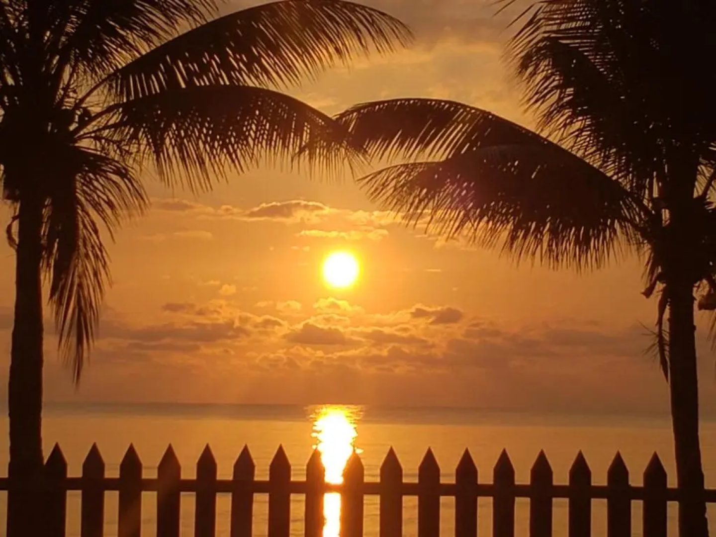 Pal's on the beach - A Gold Standard Hotel
