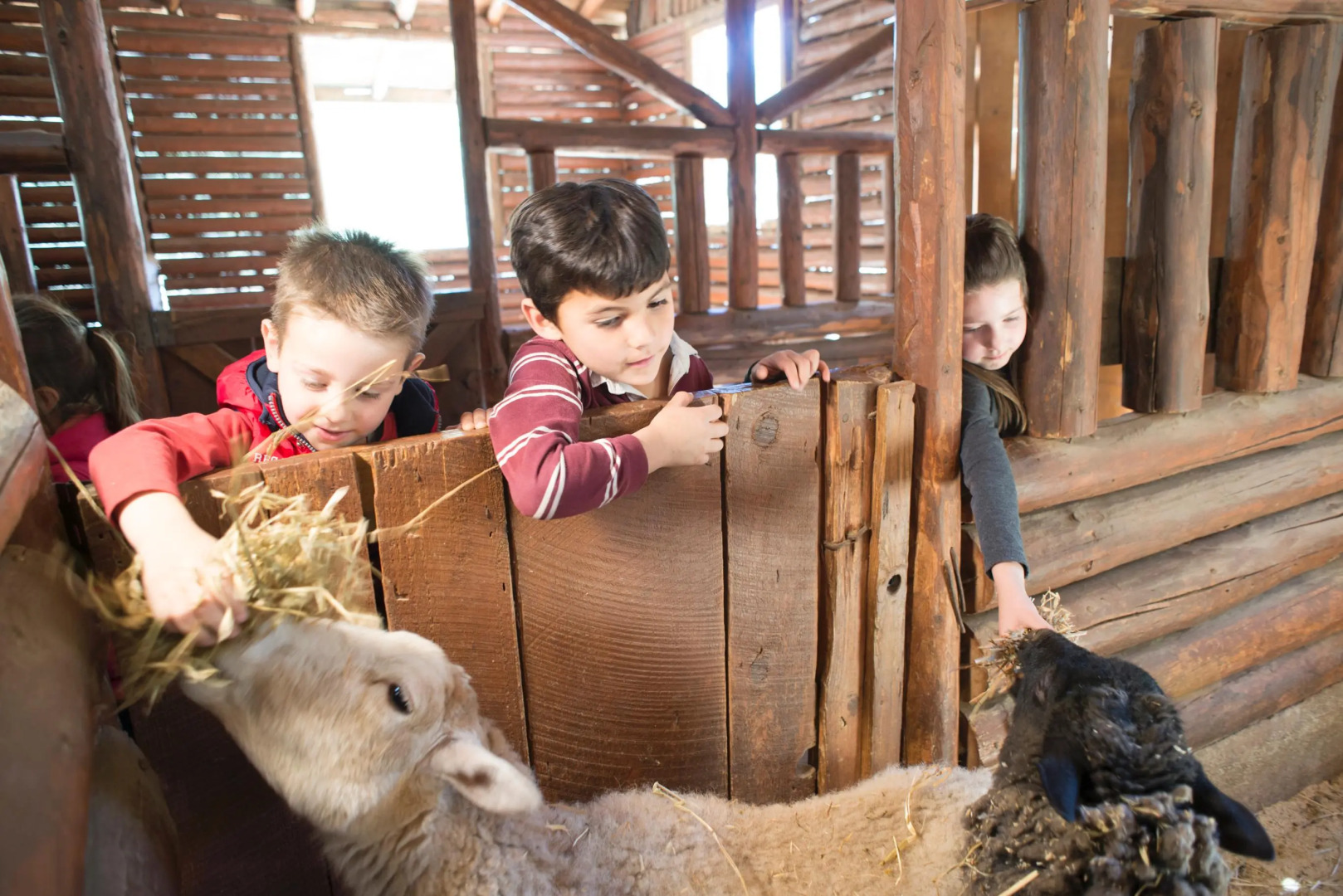 Bosques De Monterreal