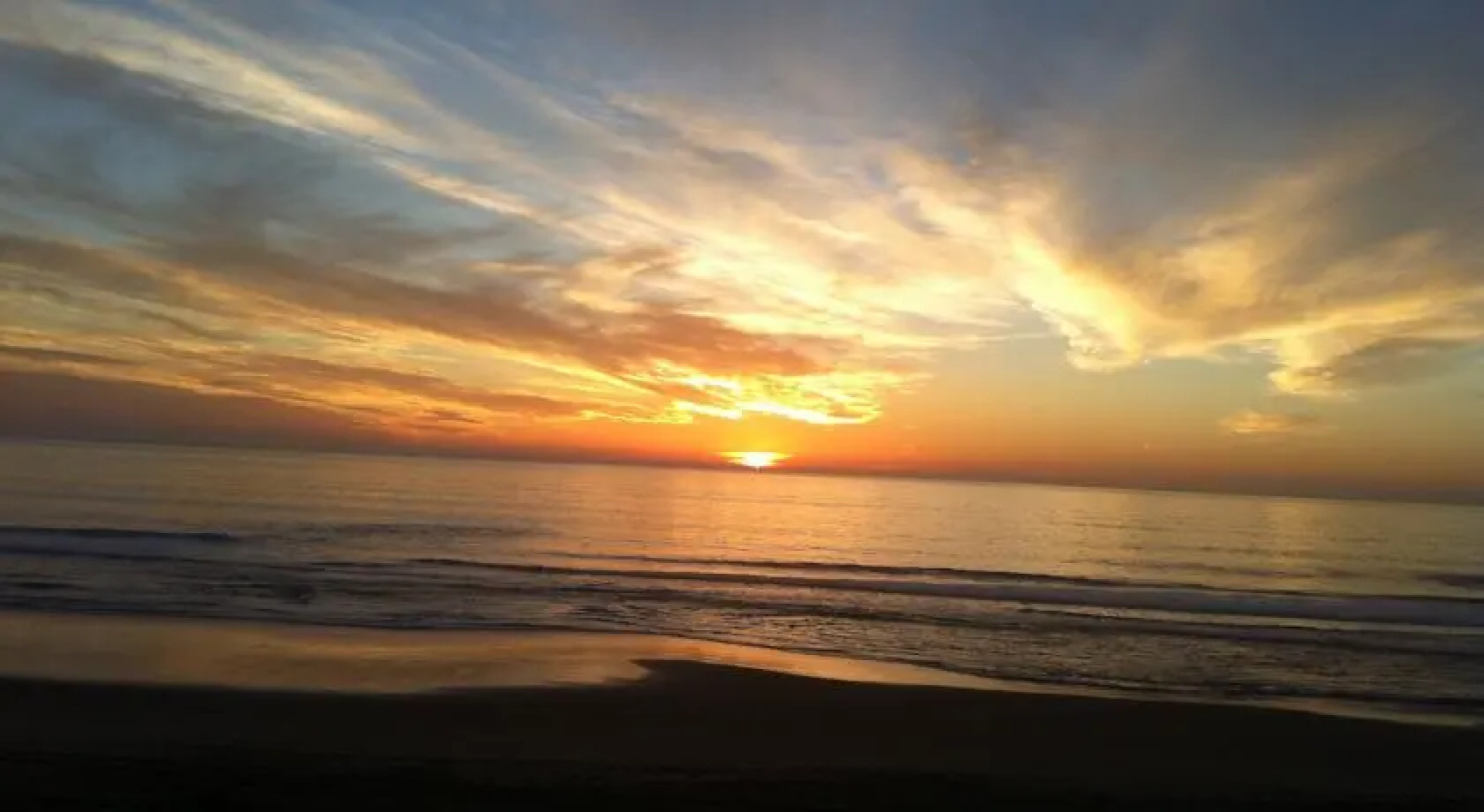 Sand Dollar Beach Retreat