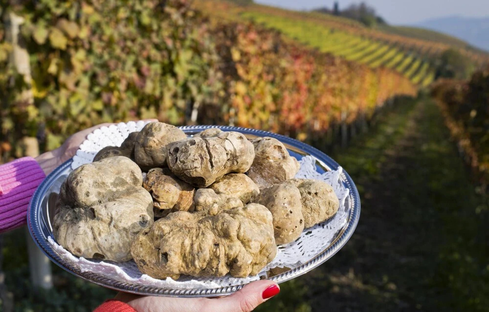 Amazing Home in Belveglio With 4 Bedrooms and Wifi