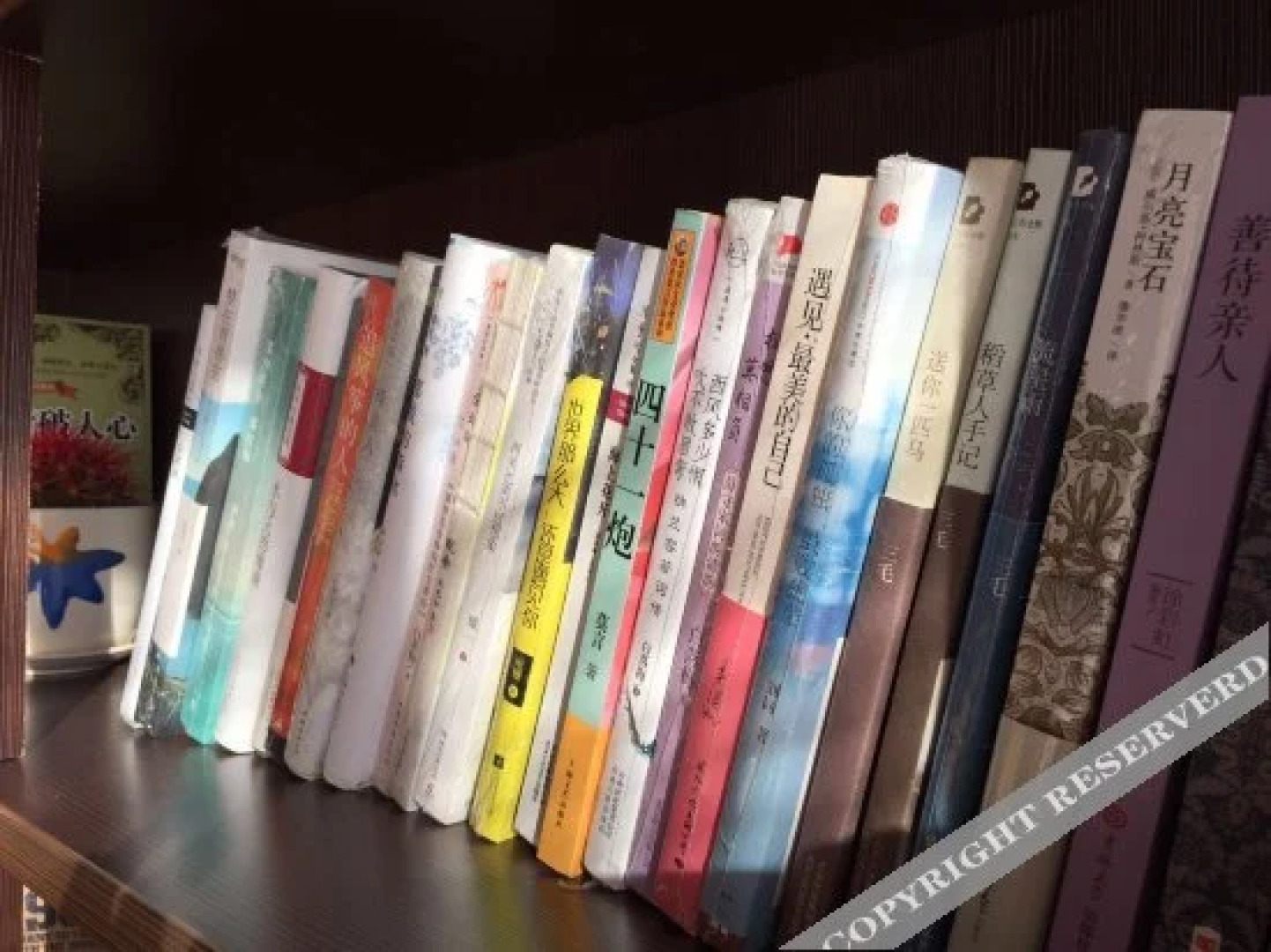 Wave Mouth Hot Spring Inn