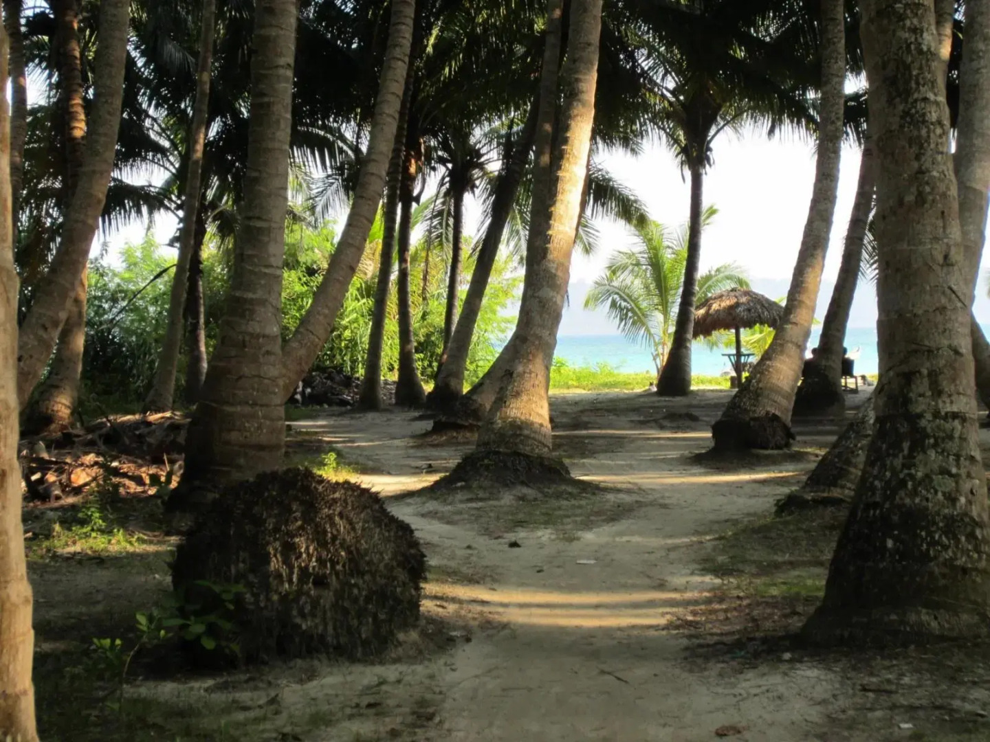 Cross Bill Beach Resort