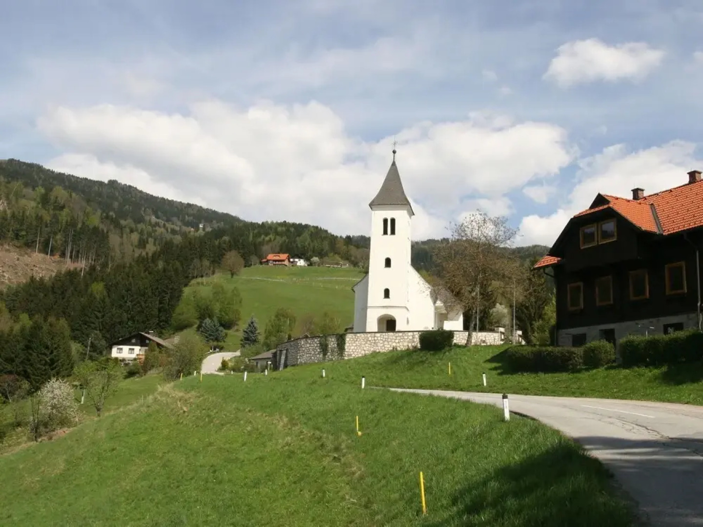 Wooden Chalet in Koralpe Amid the Forest