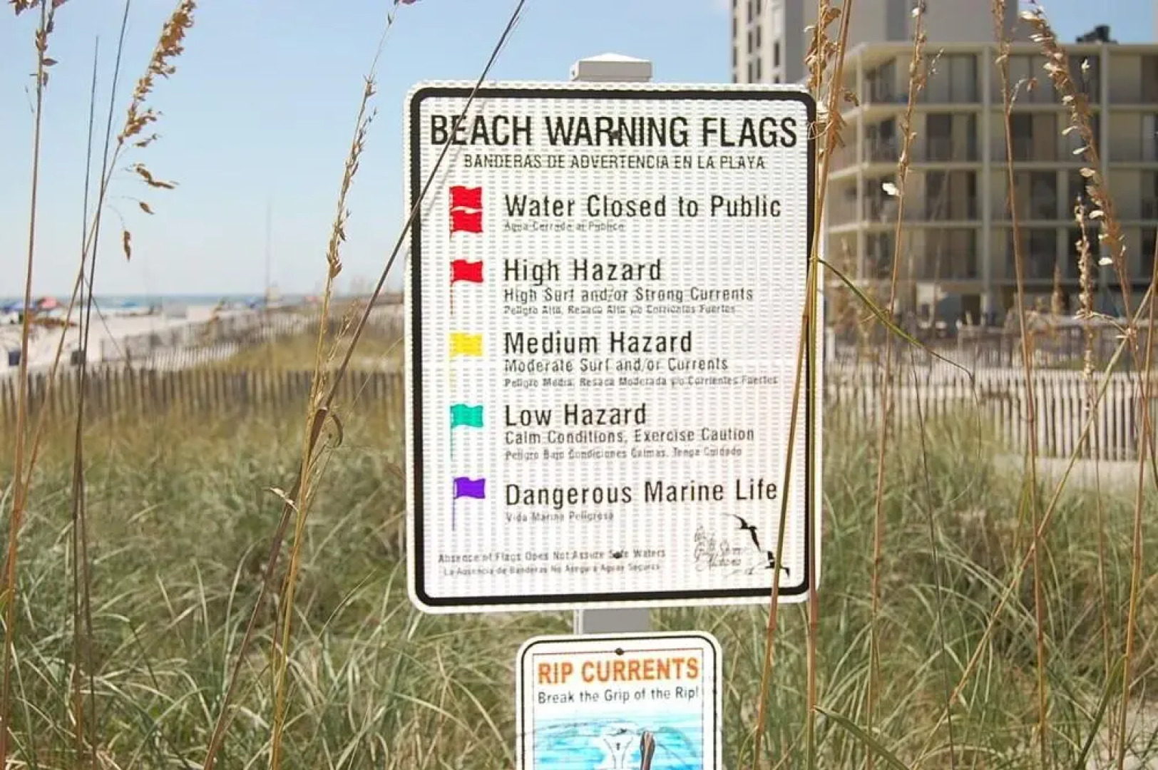 Crystal Tower 1406 condo