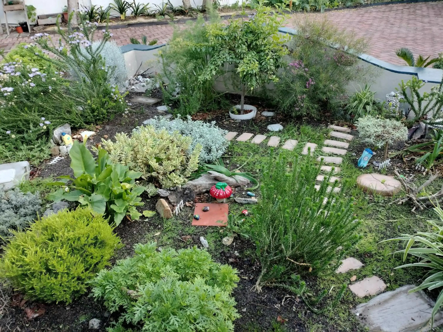 6 bedroom house and cottage