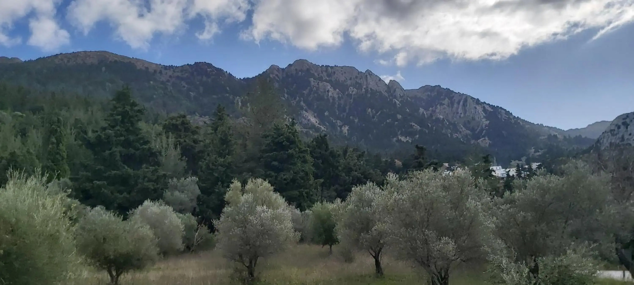 Traditional house in Asfendiou