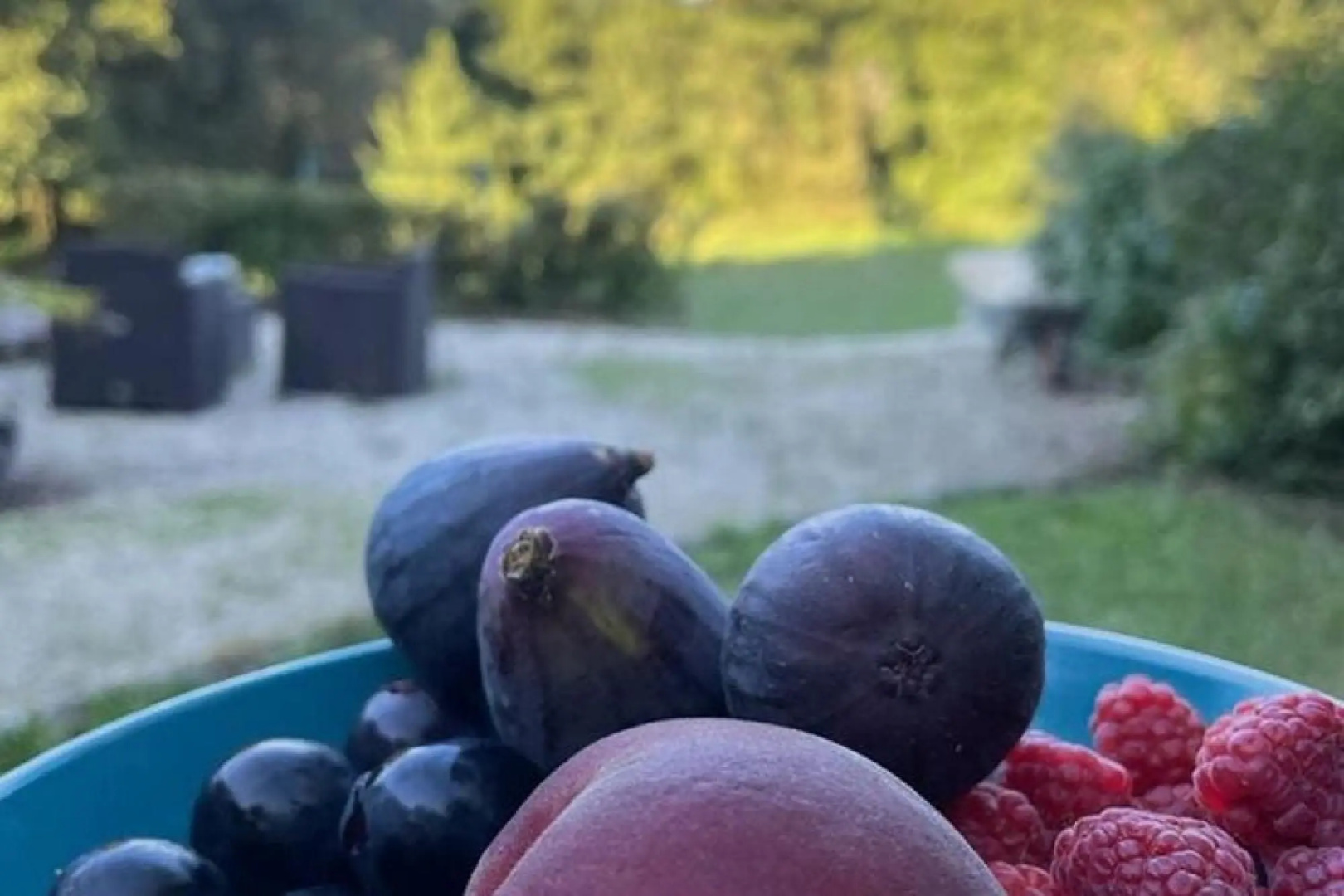 Nice holiday home in Saint-Pierre-de-Frugie with garden