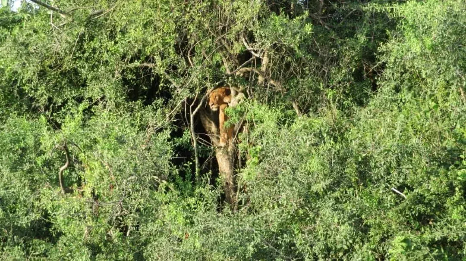 Global Village Hotel