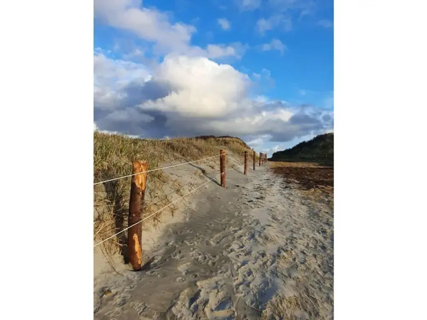 De Seekobb -beachgoers