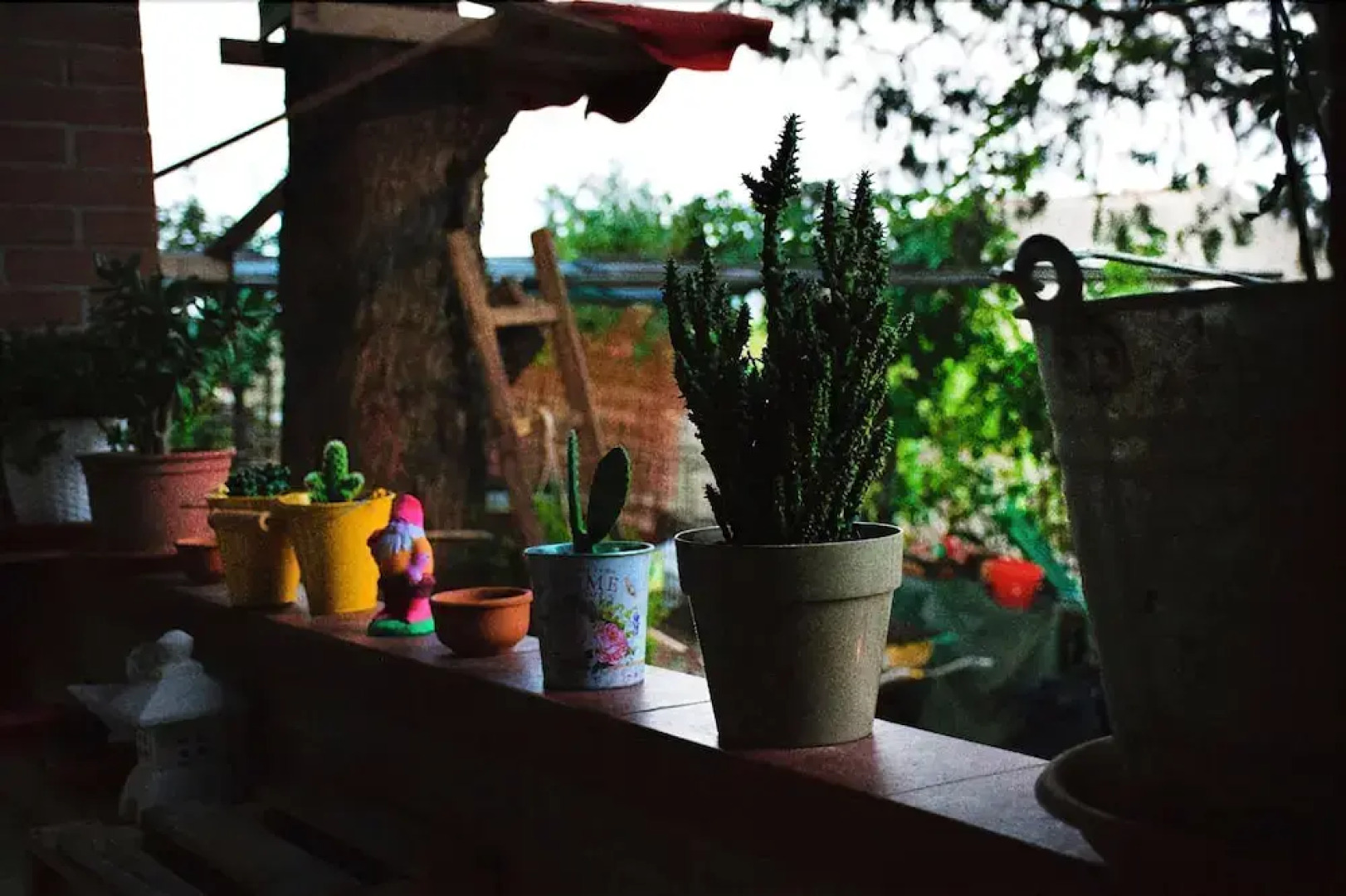 Oasi Lega Internazionale Vigilanza Sez. Palermo