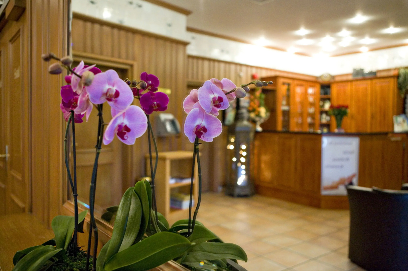 Hotel Neuwarft Dagebüll