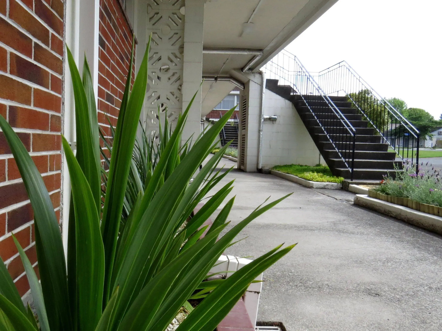 Kuirau Park Motor Lodge