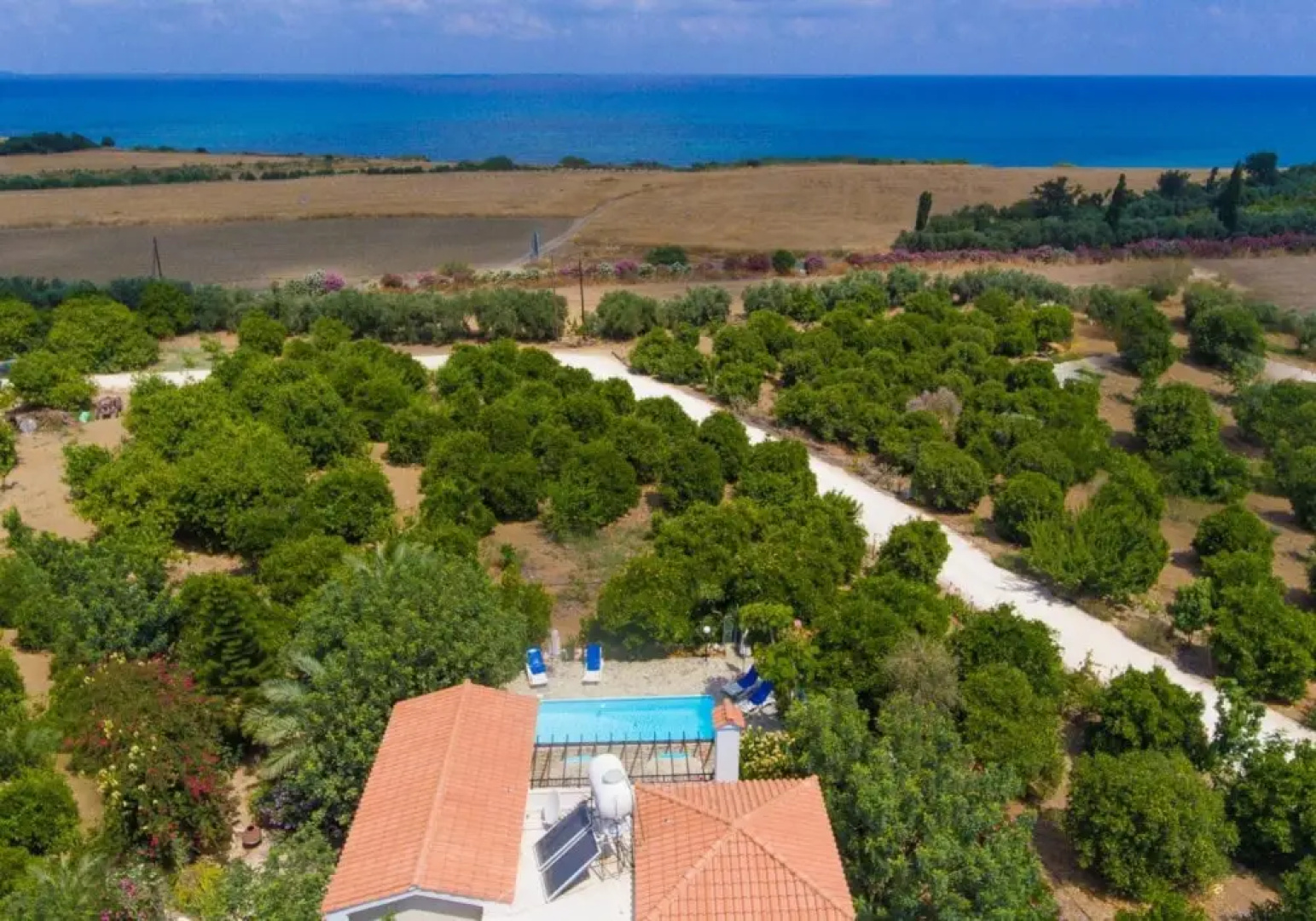 Villa Solon in Polis